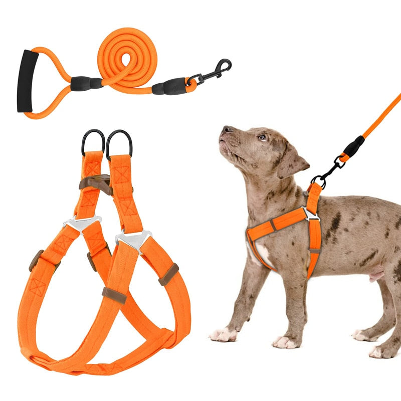 No Pull Dog Harness Leash Set