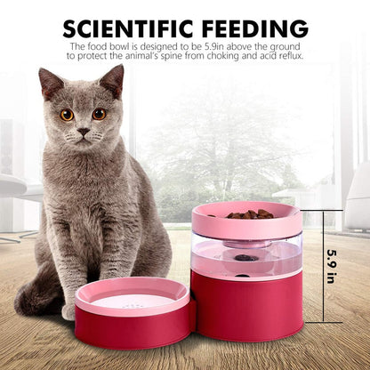 Indoor Elevated Automatic Pet Feeder