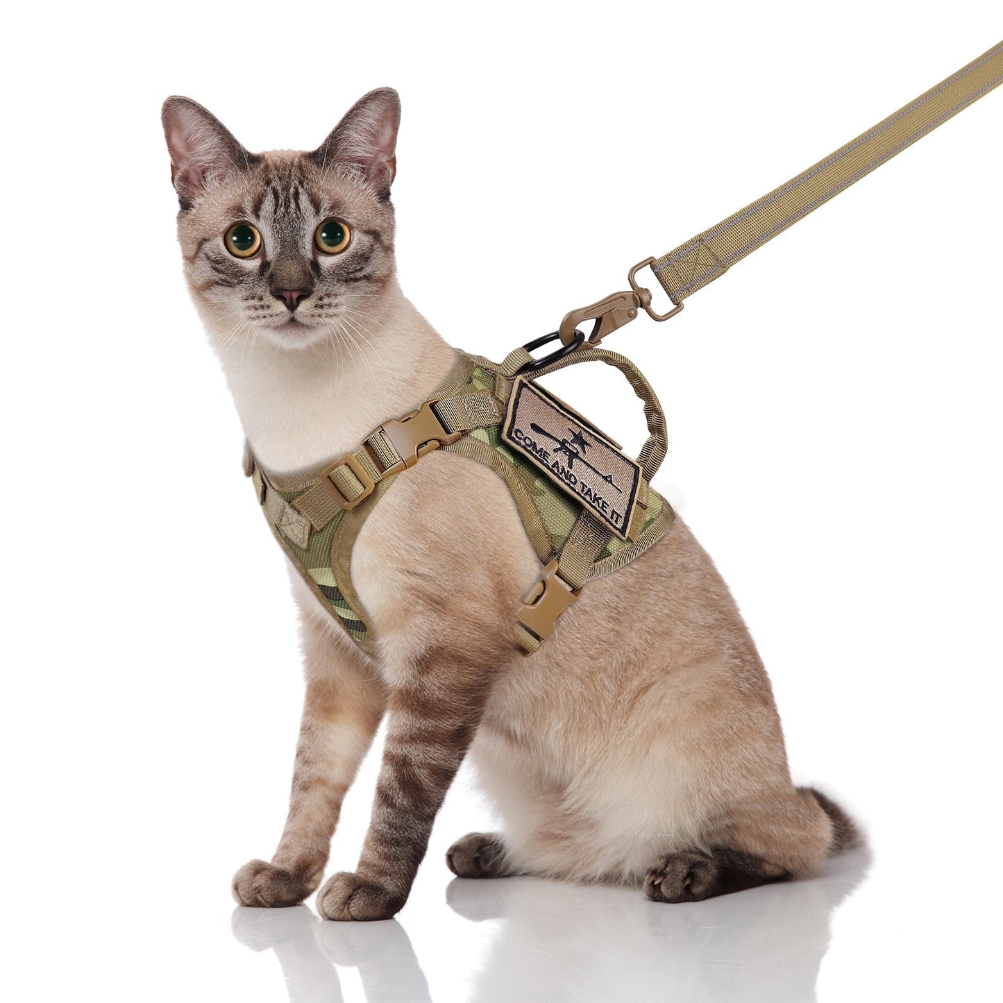 Tactical Cat Harness With Control Handle