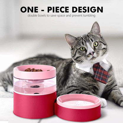 Indoor Elevated Automatic Pet Feeder