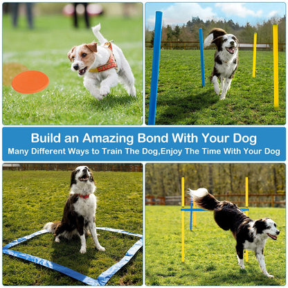 Dog Agility Obstacle Course Sets