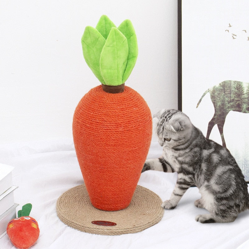 Cute Carrot Cat Climbing Post