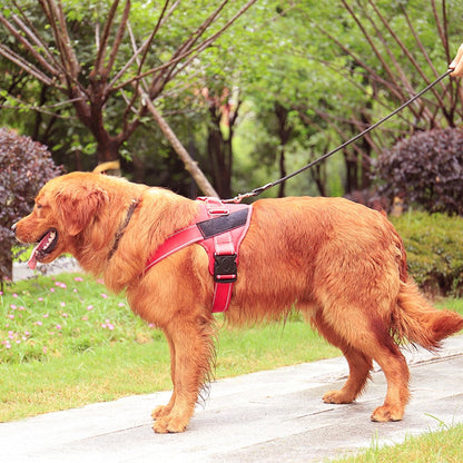 Personalized Reflective Pet K9 Harness