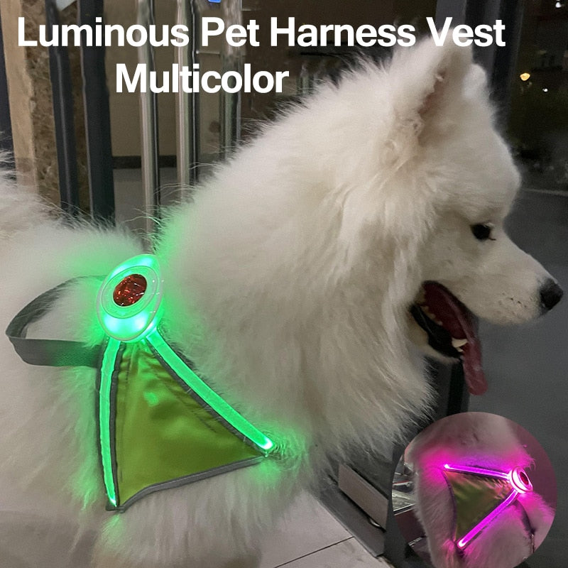 Luminous Night Visibility Dog Harness