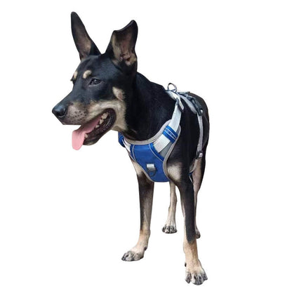 Outdoor Walking Breathable Dog Harness