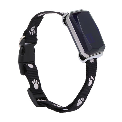 Real Time Tracking Pet GPS Tracker