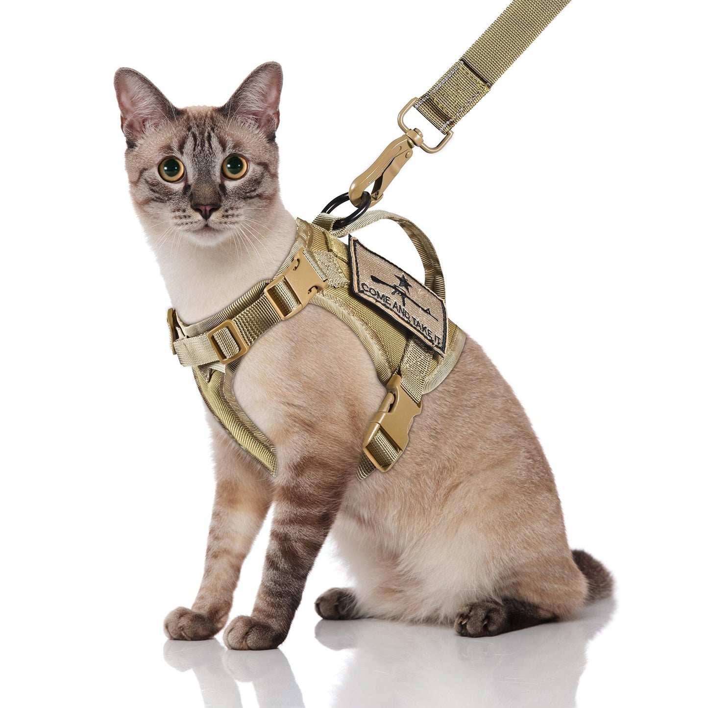 Tactical Cat Harness With Control Handle