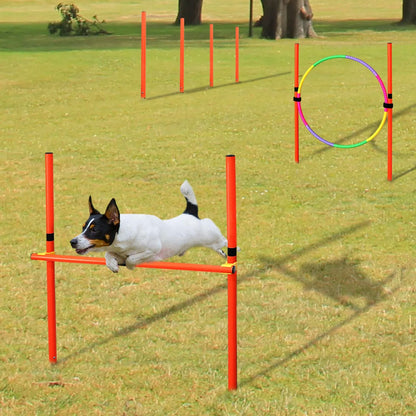 Outdoor Dog Obstacle Training Set