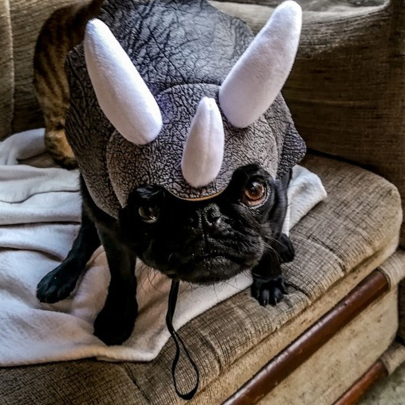 Triceratops Pets Dinosaur Hat