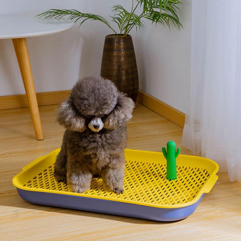 Desert Oasis Design Dog Potty