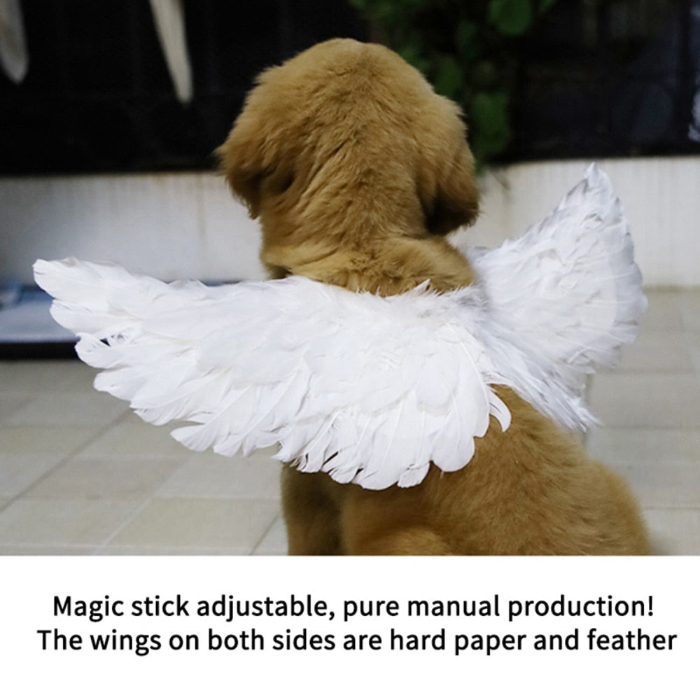 Halloween White Angel Pets Costumes