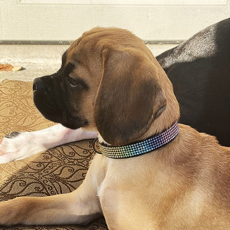 Soft Suede Leather Rhinestone Dog Collar