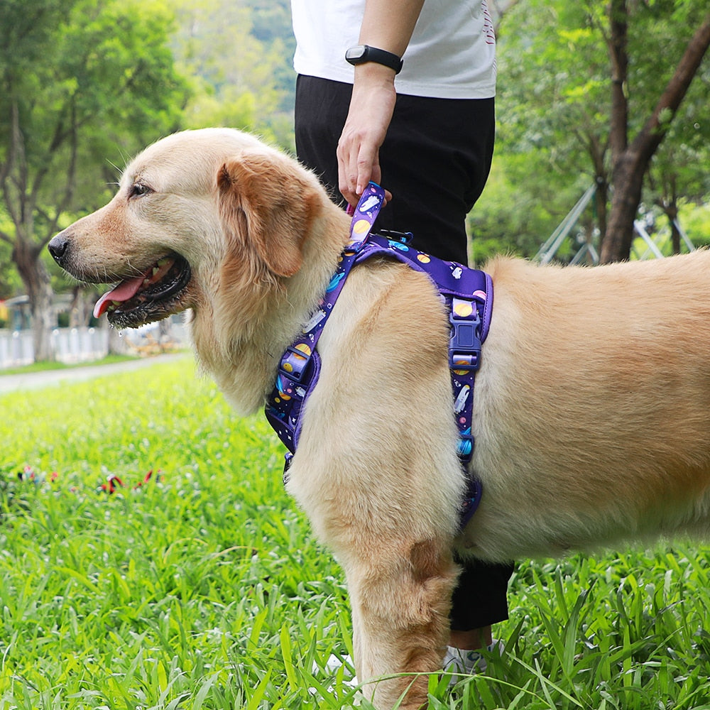 Outdoor Adjustable Reflective Dog Harness