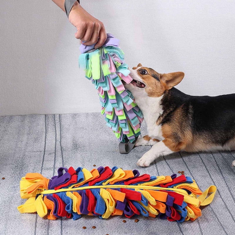 Dogs Interactive Sniff Blanket Mat