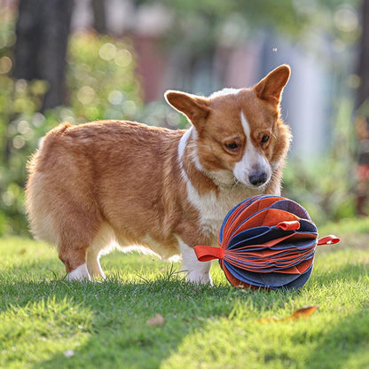 Dog Snuffle Pad Ball Toy