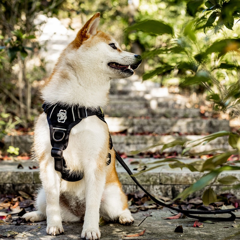 No Slide Reflective Night K9 Harness