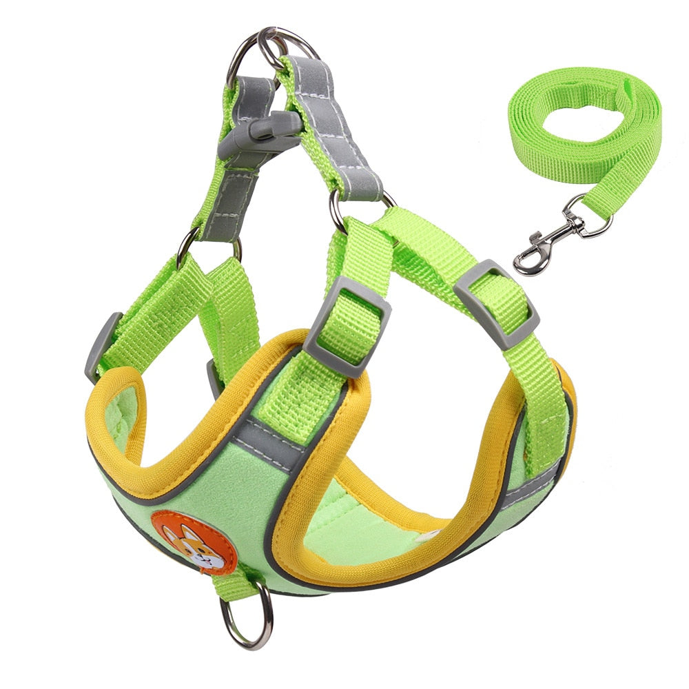 Creative Design No Pull Dog Harness