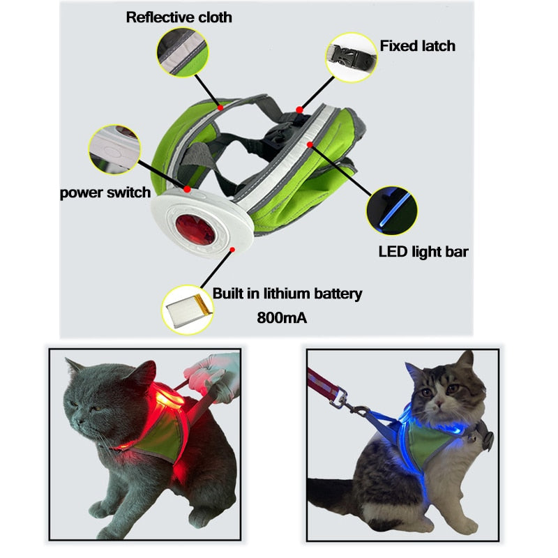 Luminous Night Visibility Dog Harness